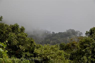 Nilgiri-Blue-Mountain-Train, Mettupalayam - Coonoor_DSC5395_H600